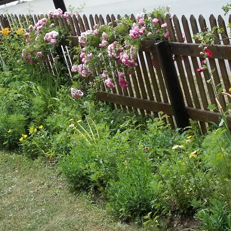 Apartment Matogi Mokra Gora